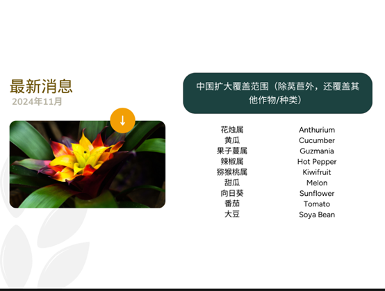 圖片1.png 圖片1.png